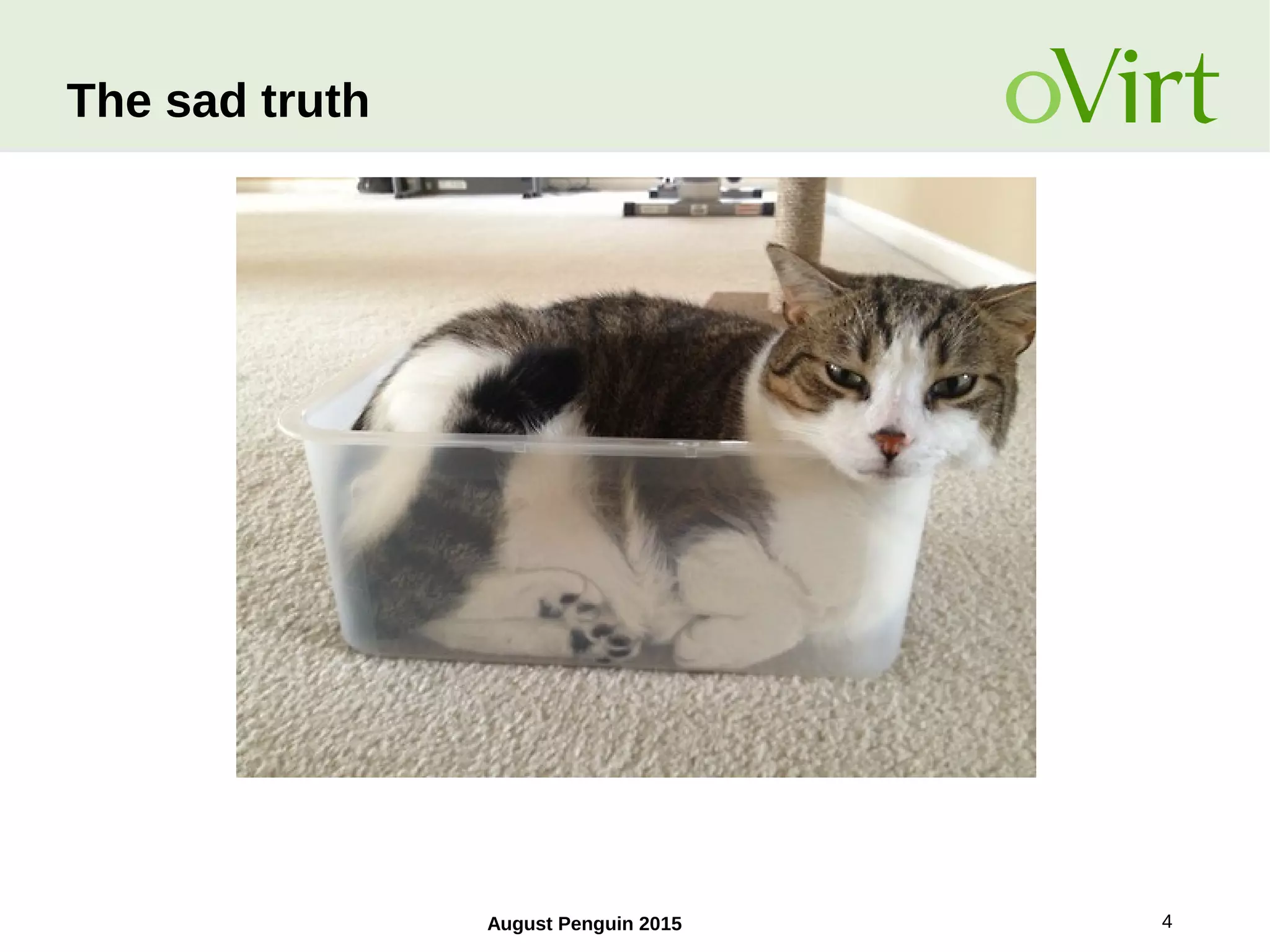 August Penguin 2015 4
The sad truth
 