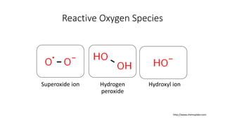 Introduction to Oxidative Stress and its role | PPTX