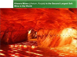 Khewra Mines (Jhelum ,Punjab) is the Second Largest Salt
Mine in the World
 