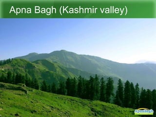 Apna Bagh (Kashmir valley)
 