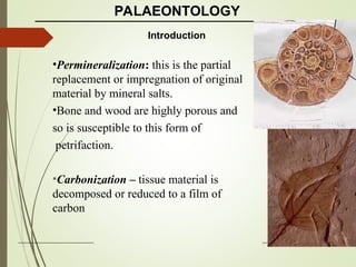 Introduction To Paleontology for MSc and BS Students | PPT