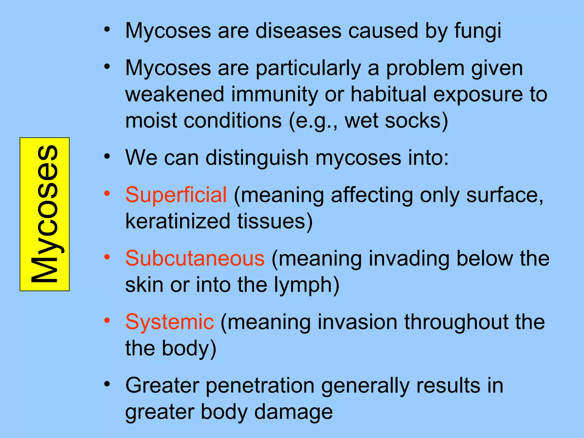 Mycoses Mycoses are diseases caused by fungi Mycoses are particularly a problem given weakened immunity or habitual exposure to moist conditions (e.g., wet socks) We can distinguish mycoses into: Superficial  (meaning affecting only surface, keratinized tissues) Subcutaneous  (meaning invading below the skin or into the lymph) Systemic  (meaning invasion throughout the the body) Greater penetration generally results in greater body damage 