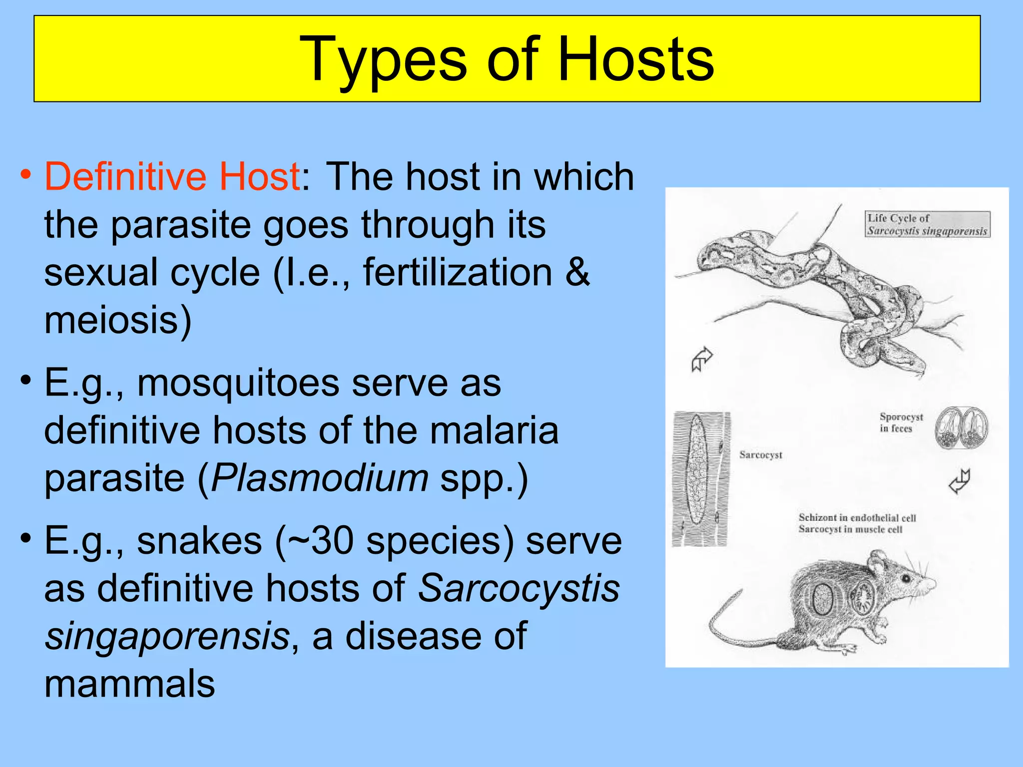 Types of Hosts Definitive Host :  The host in which the parasite goes through its sexual cycle (I.e., fertilization & meiosis) E.g., mosquitoes serve as definitive hosts of the malaria parasite ( Plasmodium  spp.) E.g.,  snakes (~30 species) serve as definitive hosts of   Sarcocystis singaporensis , a disease of mammals 