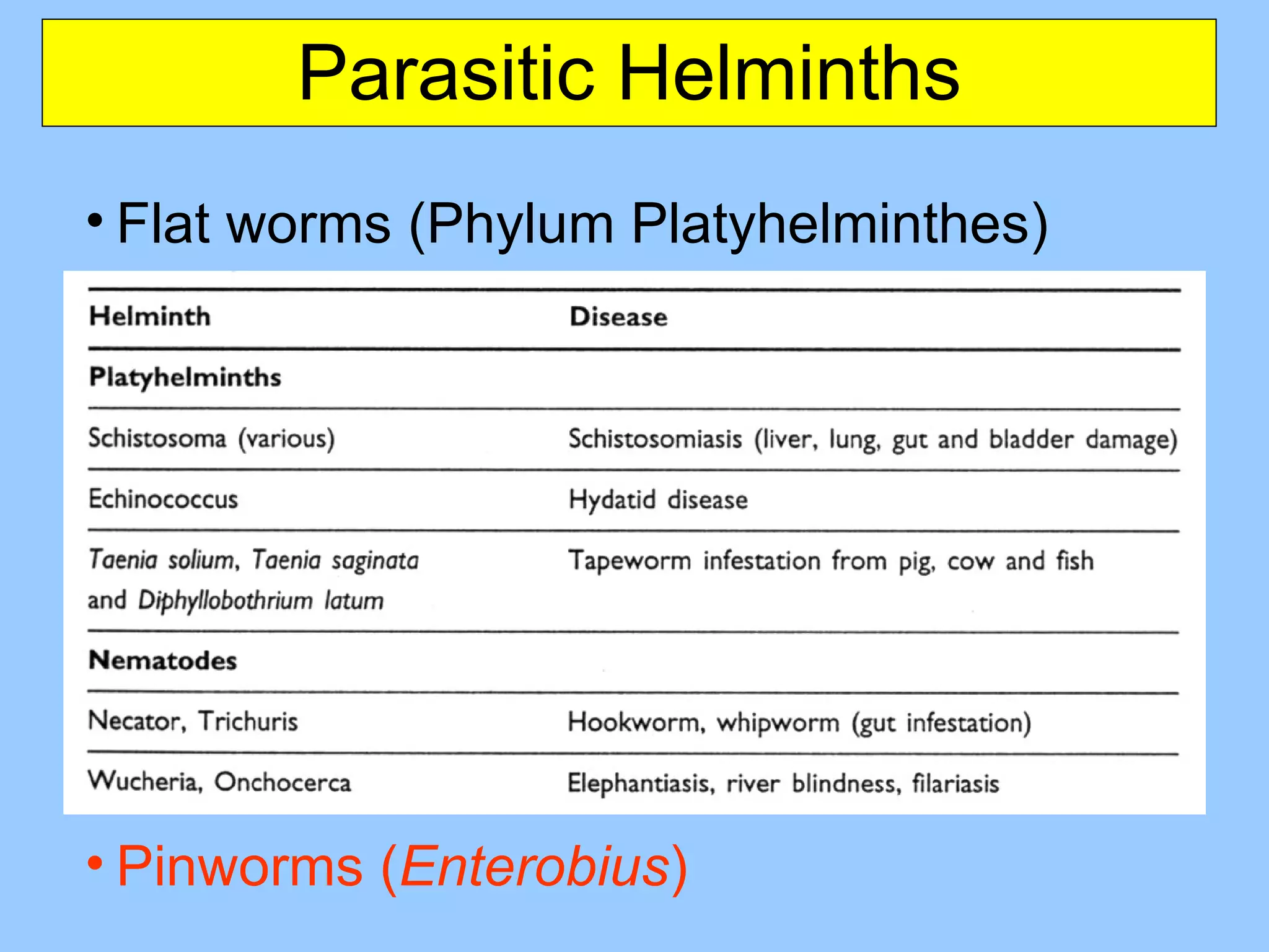 Parasitic Helminths Flat worms (Phylum Platyhelminthes) Flukes ( Schistosoma— schistosomiasis ) Tape worms ( Taenia —beef tape worm ) Round worms (Phylum Nematoda) Ascaris, Dracunculus  (Guinea Worm) ,Trichinella, Wuchereria Hookworms ( Ancylostoma ) Pinworms ( Enterobius ) 