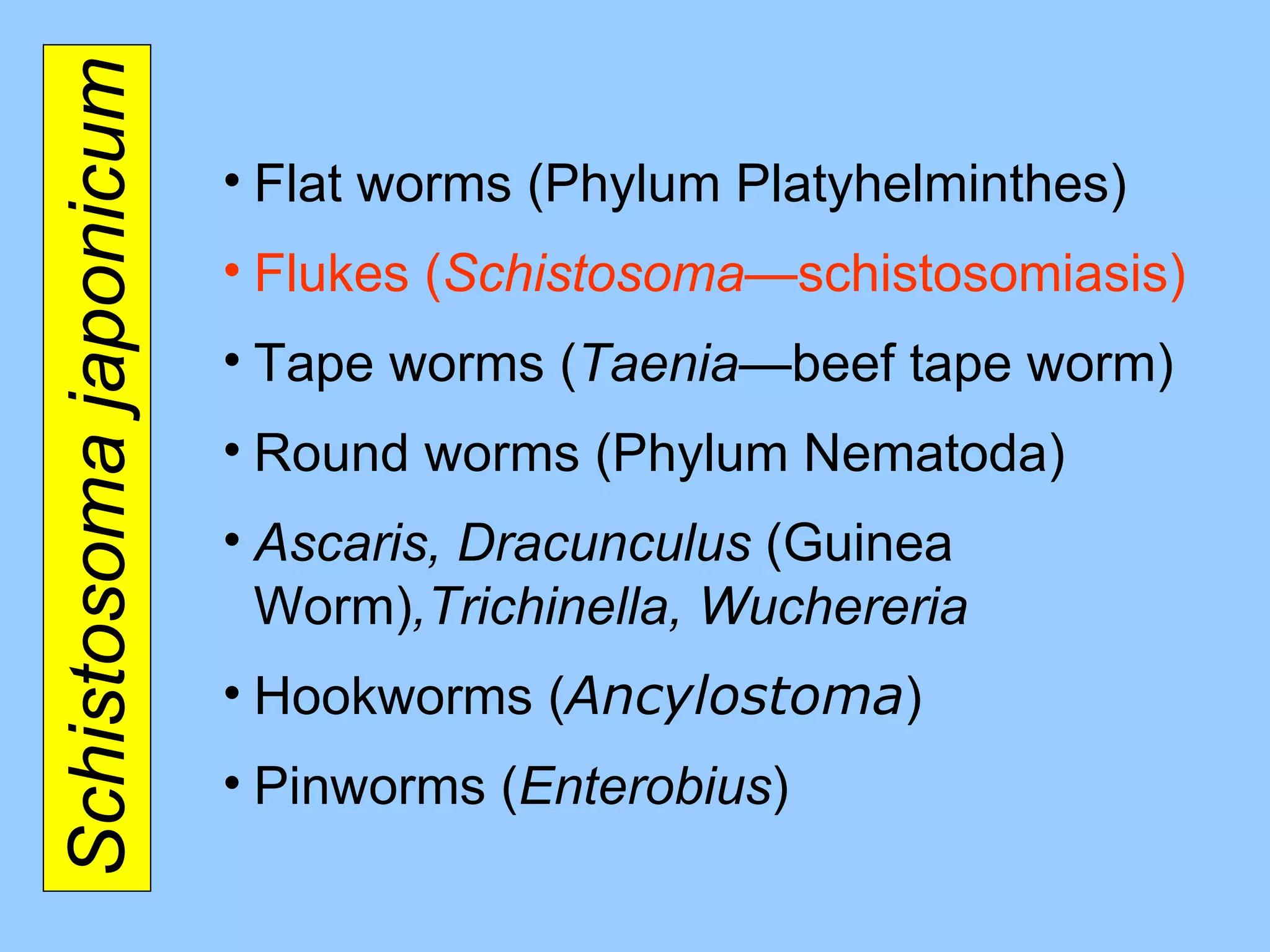 Schistosoma japonicum Flat worms (Phylum Platyhelminthes) Flukes ( Schistosoma— schistosomiasis ) Tape worms ( Taenia —beef tape worm ) Round worms (Phylum Nematoda) Ascaris, Dracunculus  (Guinea Worm) ,Trichinella, Wuchereria Hookworms ( Ancylostoma ) Pinworms ( Enterobius ) 