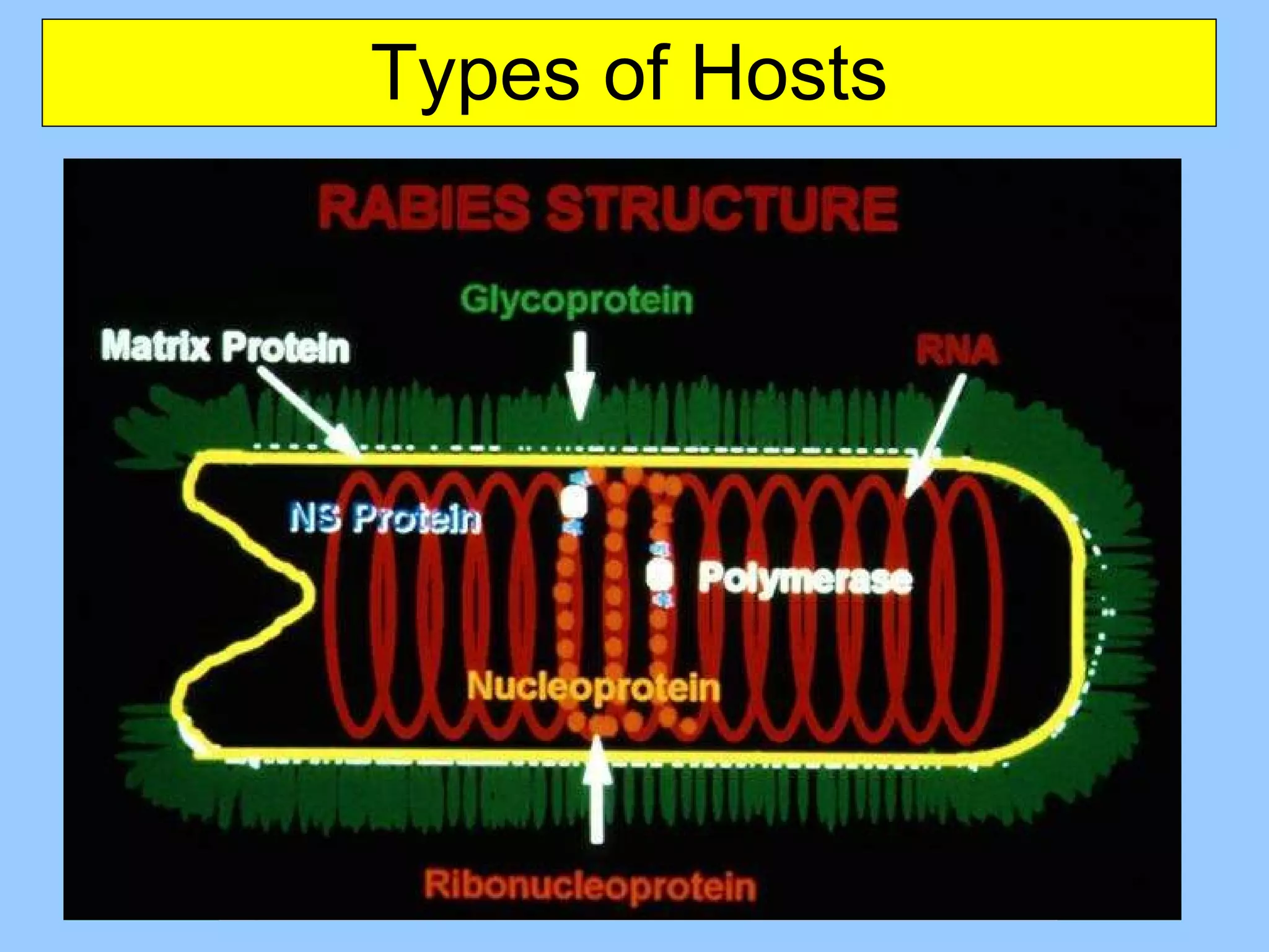 Types of Hosts 