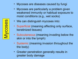 Mycoses Mycoses are diseases caused by fungi Mycoses are particularly a problem given weakened immunity or habitual exposure to moist conditions (e.g., wet socks) We can distinguish mycoses into: Superficial  (meaning affecting only surface, keratinized tissues) Subcutaneous  (meaning invading below the skin or into the lymph) Systemic  (meaning invasion throughout the the body) Greater penetration generally results in greater body damage 