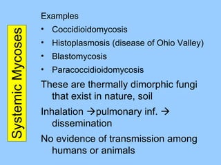 Systemic Mycoses Examples Coccidioidomycosis Histoplasmosis (disease of Ohio Valley) Blastomycosis Paracoccidioidomycosis These are thermally dimorphic fungi that exist in nature, soil Inhalation   pulmonary inf.    dissemination No evidence of transmission among humans or animals 