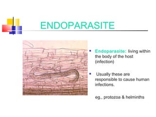 Introduction to parasitology revathy | PPT