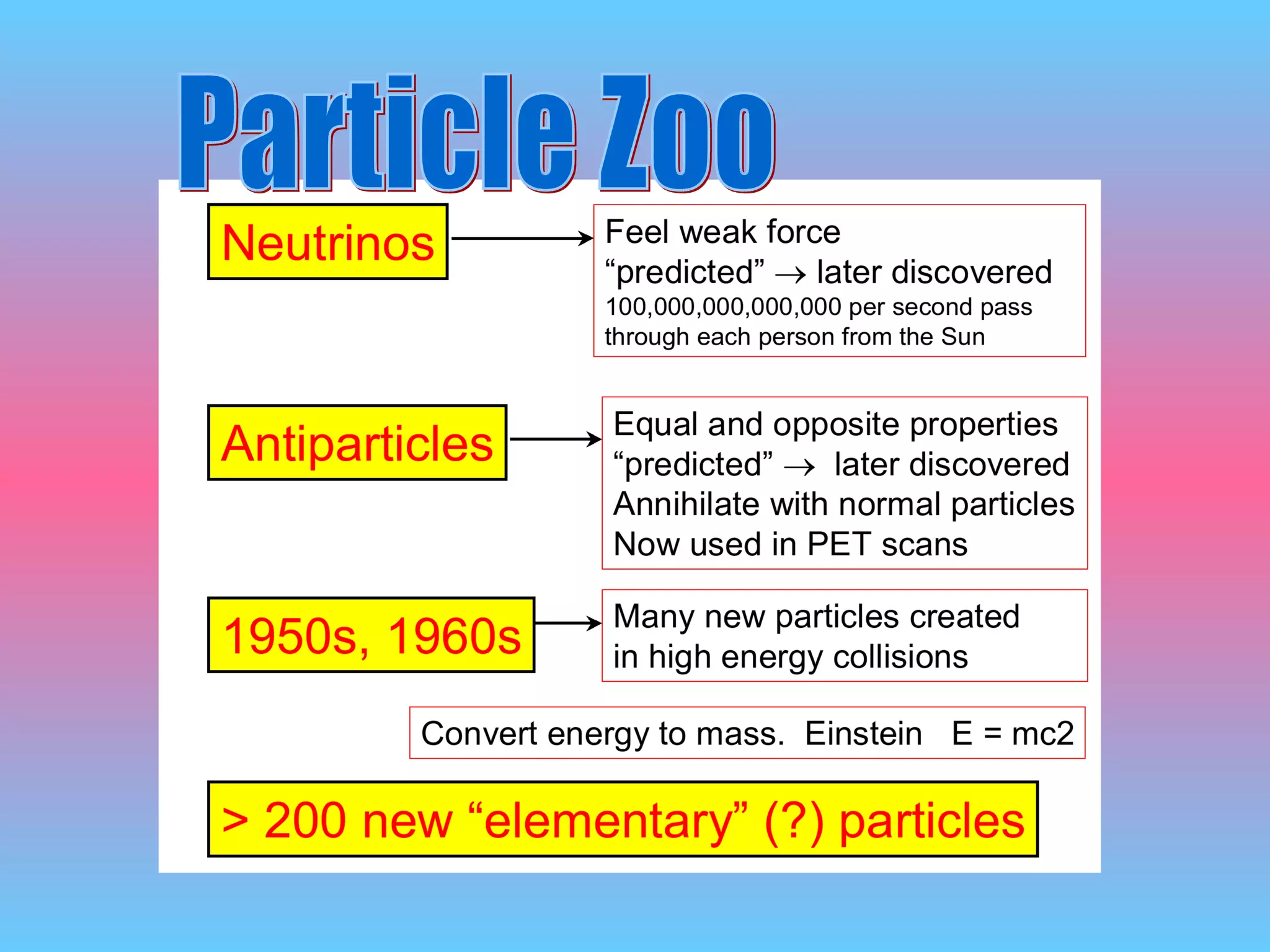 Particle Zoo 