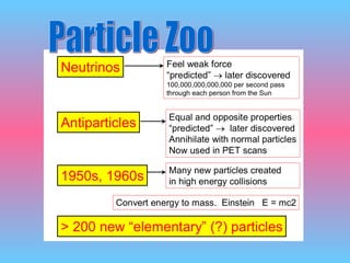 Particle Zoo 