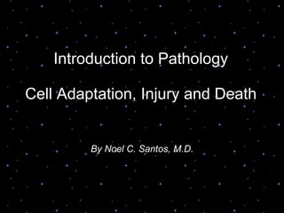 Introduction to Pathology Cell Adaptation, Injury and Death By Noel C. Santos, M.D. 