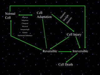 Introduction to pathology | PPT