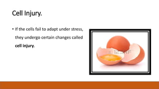 Cell Fail Introduction to pathology | PPTX