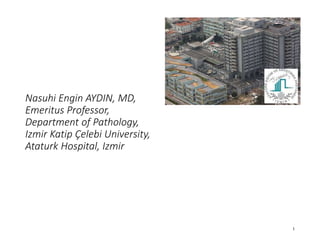 Nasuhi Engin AYDIN, MD,
Emeritus Professor,
Department of Pathology,
Izmir Katip Çelebi University,
Ataturk Hospital, Izmir
1
 