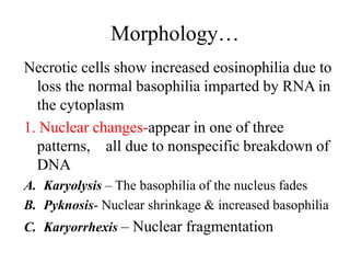introduction-to-pathology-pptx