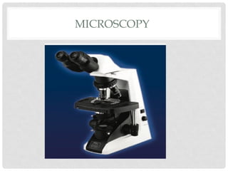 MICROSCOPY
 