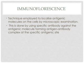 IMMUNOFLORESCENCE
• Technique employed to localise antigenic
molecules on the cells by microscopic examination.
• This is done by using specific antibody against the
antigenic molecule forming antigen-antibody
complex at the specific antigenic site
 