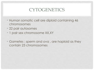 CYTOGENETICS
• Human somatic cell are diploid containing 46
chromosomes
• 22 pair autosomes
• 1 pair sex chromosome XX,XY
• Gametes : sperm and ova , are haploid as they
contain 23 chromosomes
 