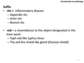 Suffix
• -itis = inflammatory disease
– Appendic-itis
– Arthr-itis
– Bronch-itis
• -oid = a resemblance to the object designated in the
main word
– Typh-oid-like typhus fever
– Thy-oid-the shield like gland (thyreos-shield)
18
Introduction to pathology
 