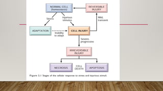 INTRODUCTION TO PATHOLOGY AND CELLULAR PATHOLOGY.pptx