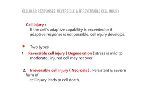 Introduction to Pathology and Pharmacology 02.pdf