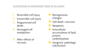 Introduction to Pathology and Pharmacology 02.pdf