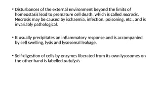 INTRODUCTION TO PATHOLOGY CELLULAR RESPONSES TO STRESS AND TOXIC ...