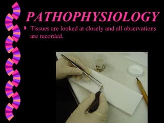 PATHOPHYSIOLOGY Tissues are looked at closely and all observations are recorded.  