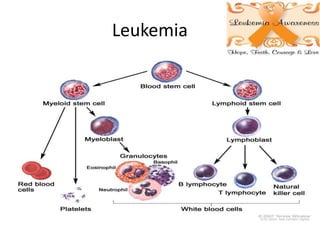 Leukemia
• the only available treatment for leukemia was blood
transfusion. Patients never benefitted from a remission and
died within a few months.
• The development of multiple-agent chemotherapy for
induction, consolidation and maintenance, CNS prophylaxis
and supportive care ushered in a new era of cure for
patients with leukemia.
 