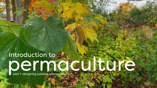 Introduction to
permaculture
part 1: designing systems within systems
 