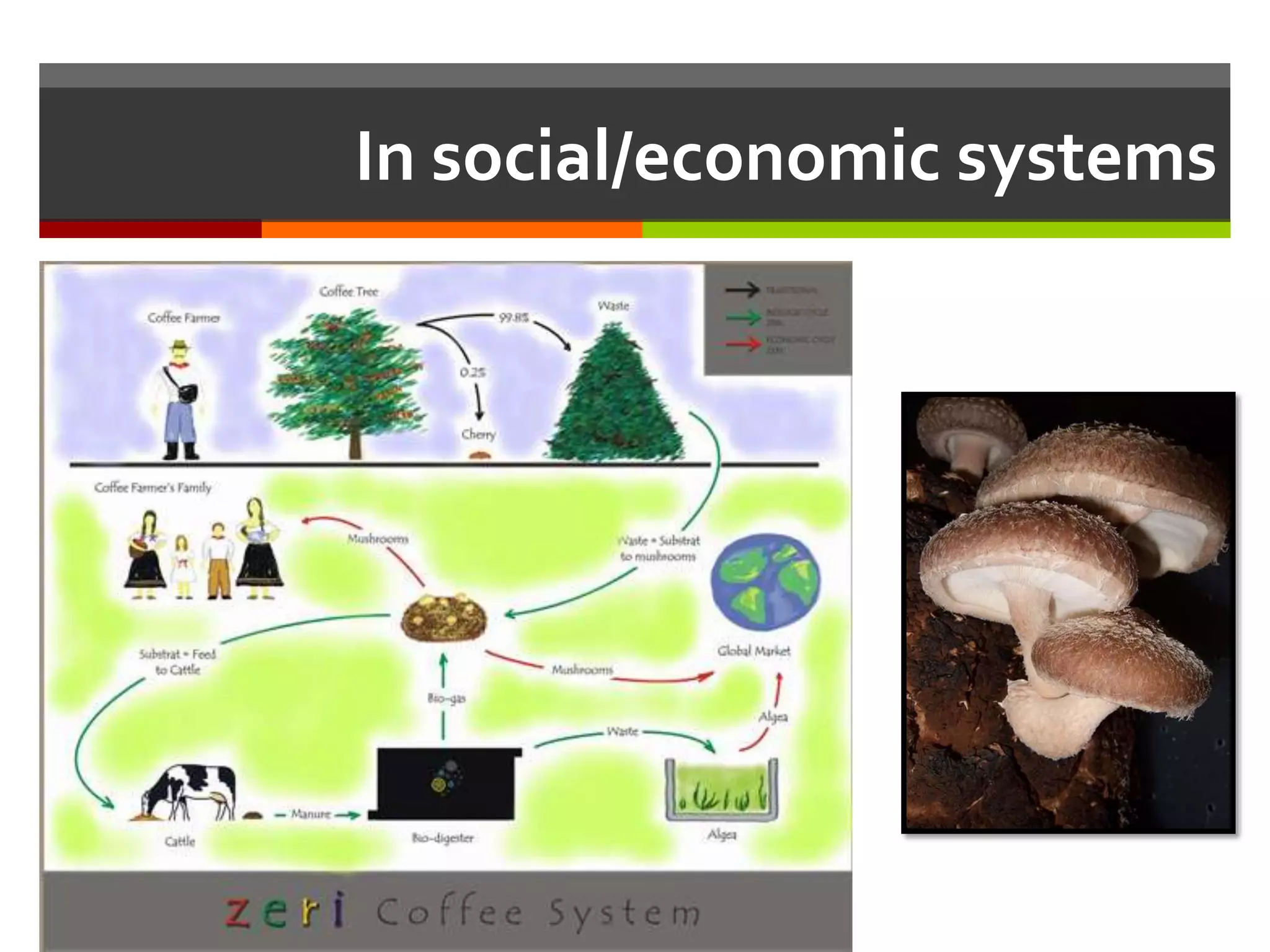 In social/economic systems
 