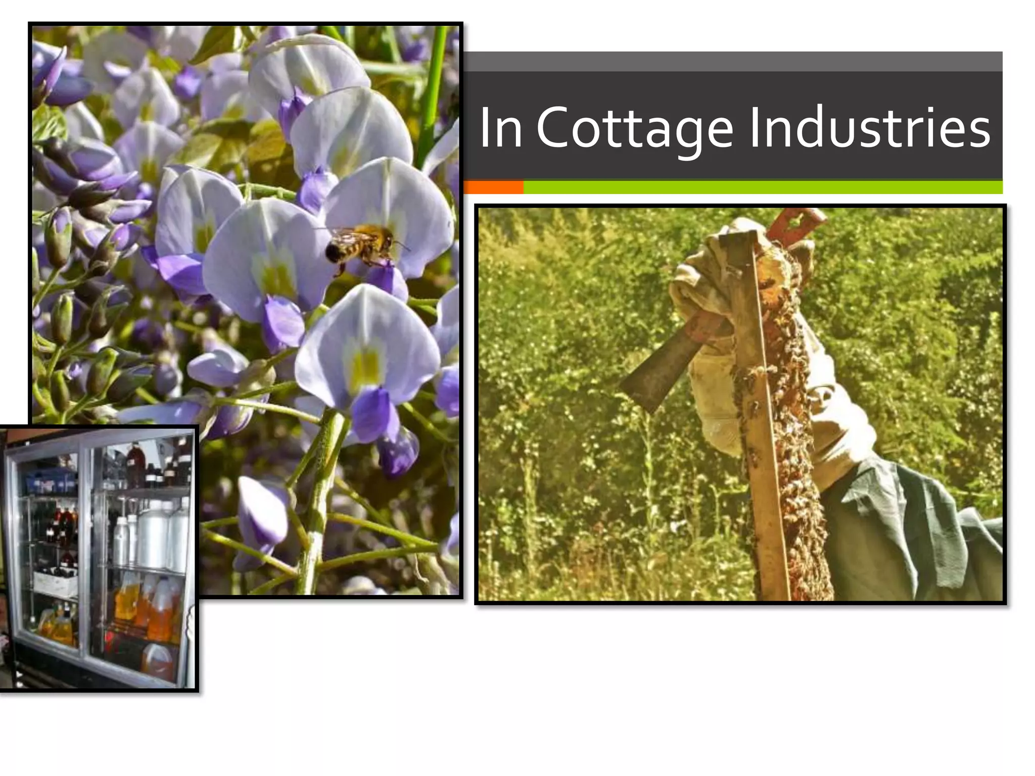 In Cottage Industries
 