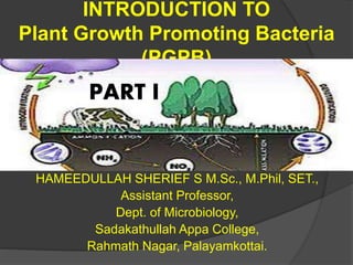 INTRODUCTION TO
Plant Growth Promoting Bacteria
(PGPB)
HAMEEDULLAH SHERIEF S M.Sc., M.Phil, SET.,
Assistant Professor,
Dept. of Microbiology,
Sadakathullah Appa College,
Rahmath Nagar, Palayamkottai.
PART I
 
