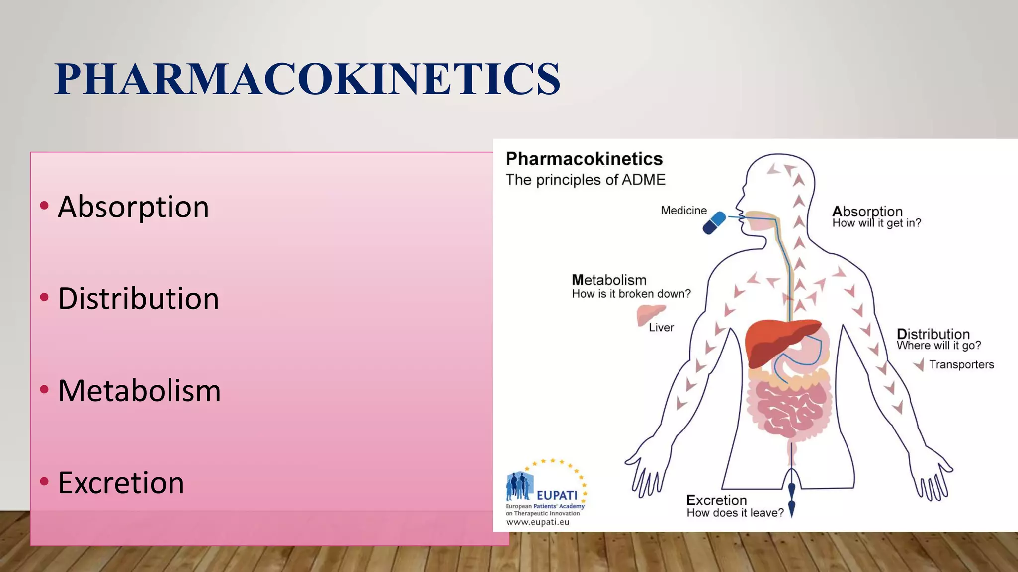 PHARMACOKINETICS
• Absorption
• Distribution
• Metabolism
• Excretion
 