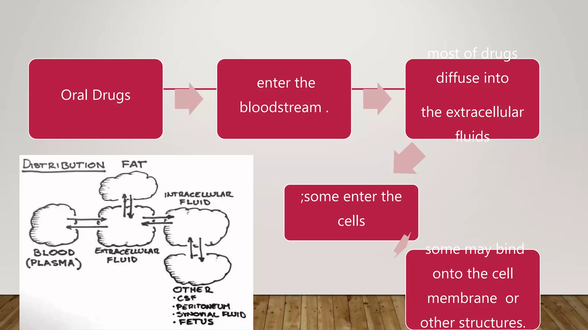 Oral Drugs
enter the
bloodstream .
most of drugs
diffuse into
the extracellular
fluids
;some enter the
cells
some may bind
onto the cell
membrane or
other structures.
 