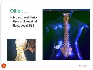 Other….
 Intra-thecal - into
the cerebrospinal
fluid, avoid BBB
1/17/2024
81
 