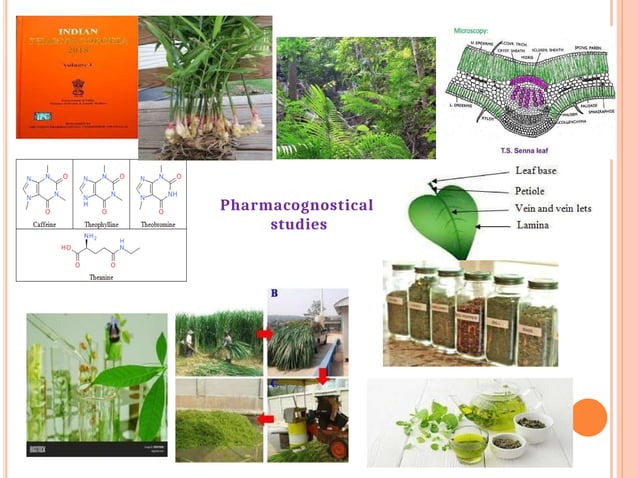 Introduction to Pharmacognosy.pptx Sem-IV # Pharmacognosy Subject