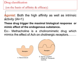 Drug classification
(on the basis of affinity & efficacy)
Agonist: Both the high affinity as well as intrinsic
activity (IA=1)
These drug trigger the maximal biological response or
mimic effect of the endogenous substance.
Ex:- Methacholine is a cholinomimetic drug which
mimics the effect of Ach on cholinergic receptors.
 
