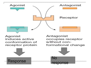 Response
No
response
 