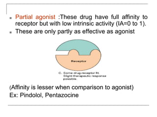 ■ Partial agonist :These drug have full affinity to
receptor but with low intrinsic activity (IA=0 to 1).
■ These are only partly as effective as agonist
(Affinity is lesser when comparison to agonist)
Ex: Pindolol, Pentazocine
 