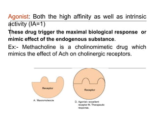 Agonist: Both the high affinity as well as intrinsic
activity (IA=1)
These drug trigger the maximal biological response or
mimic effect of the endogenous substance.
Ex:- Methacholine is a cholinomimetic drug which
mimics the effect of Ach on cholinergic receptors.
 