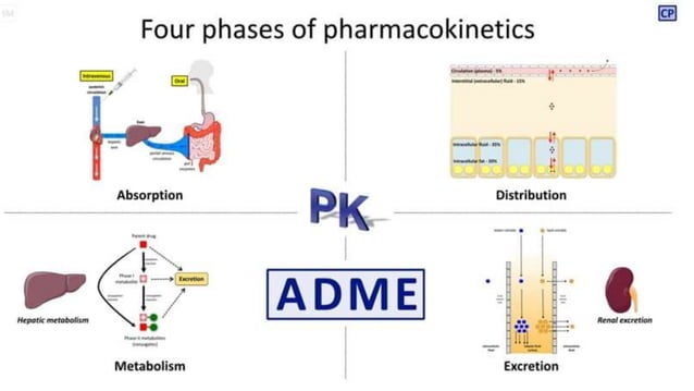 Introduction to pharmacology, Route of Drug Administration ...