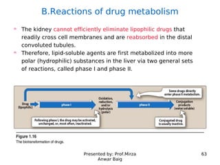 Presented by: Prof.Mirza
Anwar Baig
63
B.Reactions of drug metabolism
The kidney cannot efficiently eliminate lipophilic d...
