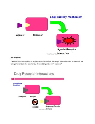 ANTAGONIST
“A molecule that competes for a receptor with a chemical messenger normally present in the body. The
antagonist binds to the receptor but does not trigger the cell’s response”
 