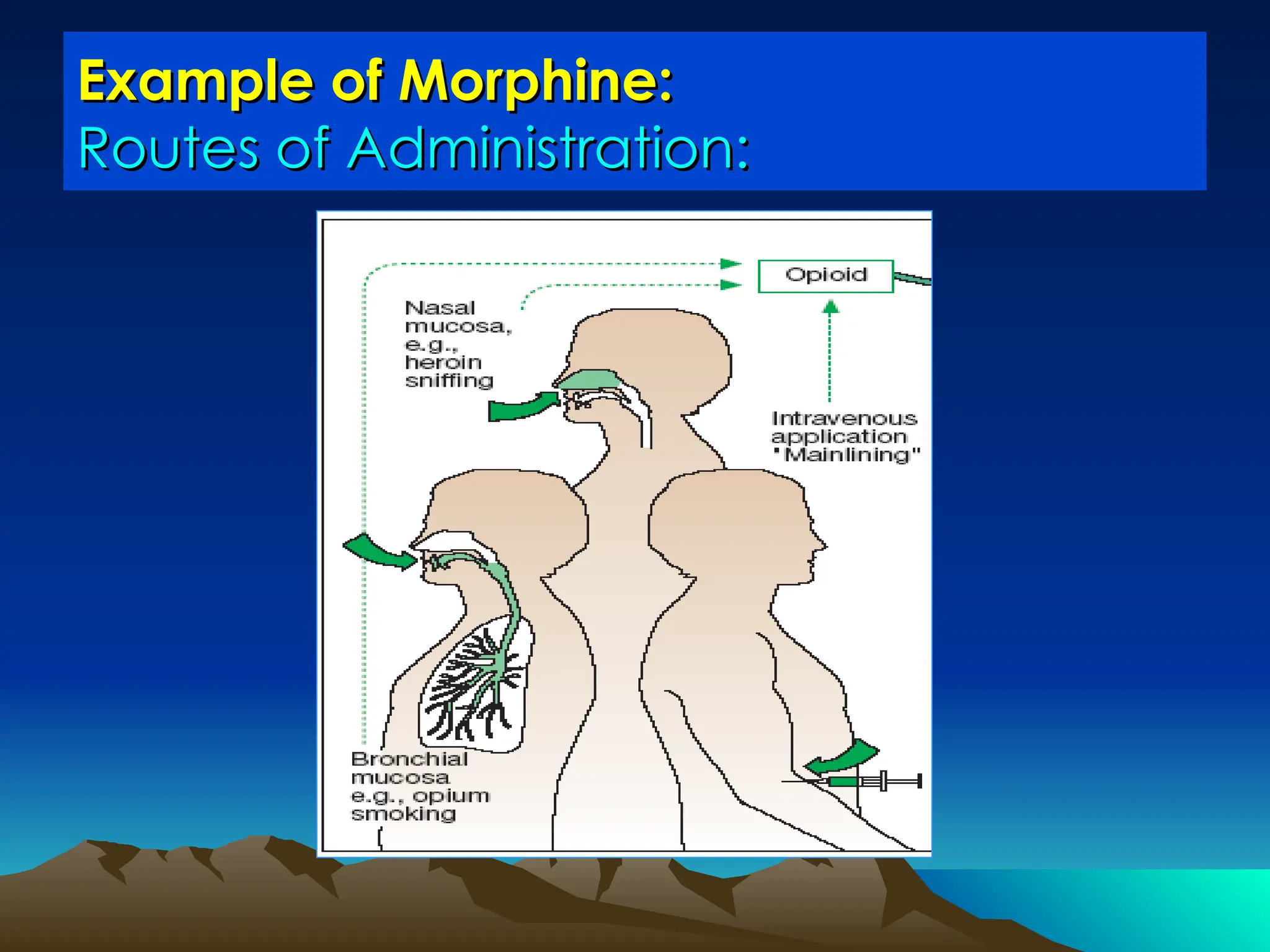 Example of Morphine:
Example of Morphine:
Routes of Administration:
Routes of Administration:
 