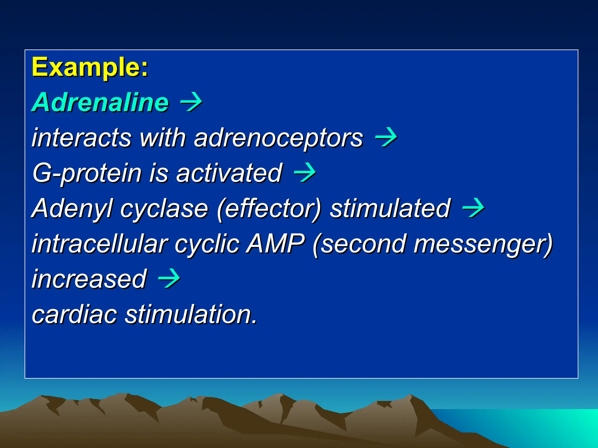 Example:
Example:
Adrenaline
Adrenaline 

interacts with adrenoceptors
interacts with adrenoceptors 

G-protein is activated
G-protein is activated 

Adenyl cyclase (effector) stimulated
Adenyl cyclase (effector) stimulated 

intracellular cyclic AMP (second messenger)
intracellular cyclic AMP (second messenger)
increased
increased 

cardiac stimulation.
cardiac stimulation.
 