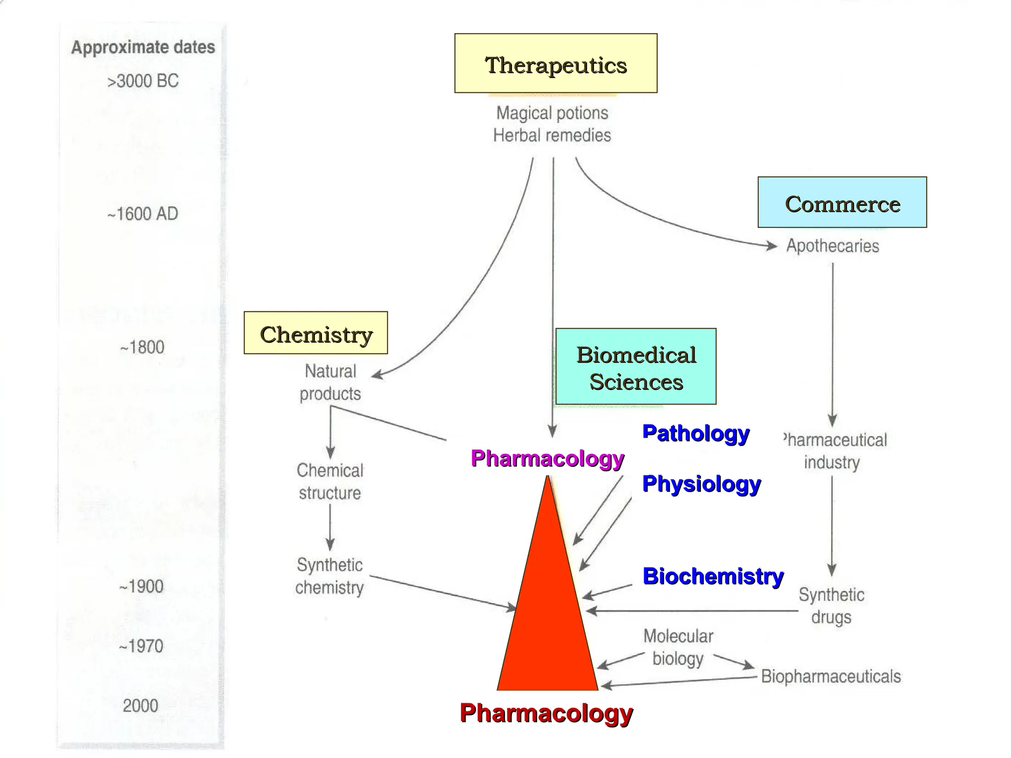 Pharmacology
Pharmacology
Therapeutics
Therapeutics
Commerce
Commerce
Chemistry
Chemistry
Biomedical
Biomedical
Sciences
Sciences
Pathology
Pathology
Physiology
Physiology
Biochemistry
Biochemistry
Pharmacology
Pharmacology
 