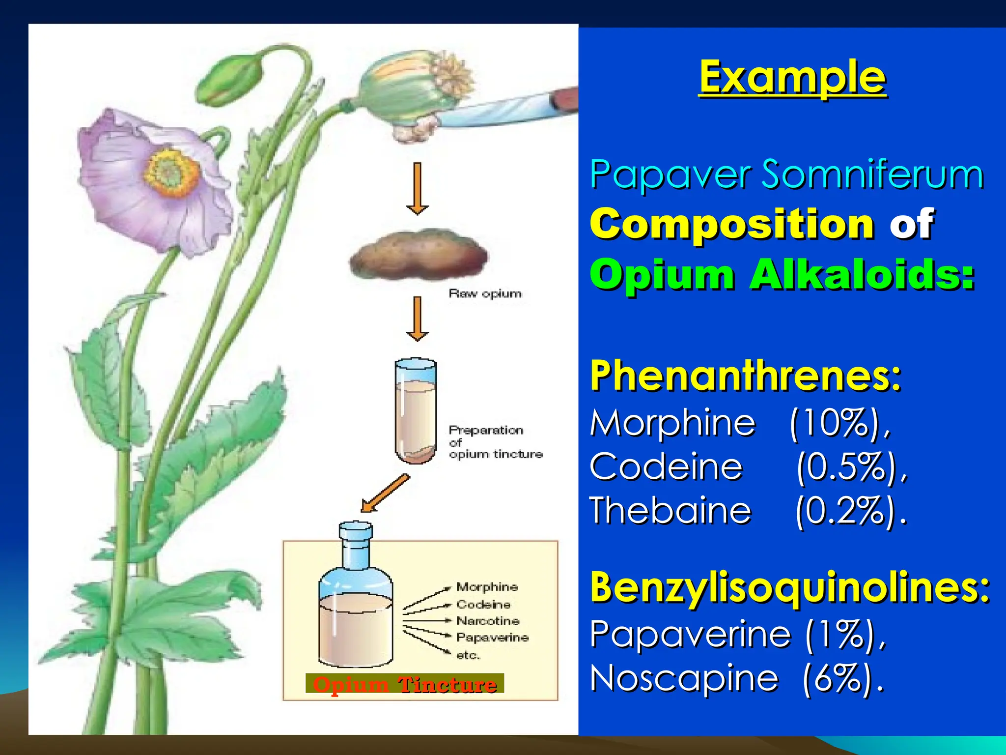 Example
Example
Papaver Somniferum
Papaver Somniferum
Composition
Composition of
of
Opium Alkaloids:
Opium Alkaloids:
Phenanthrenes:
Phenanthrenes:
Morphine (10%),
Morphine (10%),
Codeine (0.5%),
Codeine (0.5%),
Thebaine (0.2%).
Thebaine (0.2%).
Benzylisoquinolines:
Benzylisoquinolines:
Papaverine (1%),
Papaverine (1%),
Noscapine (6%).
Noscapine (6%).
Opium Tincture
Tincture
 