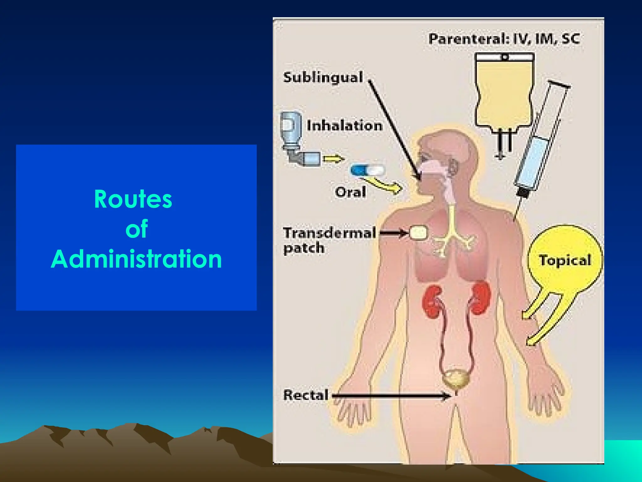 Routes
of
Administration
 